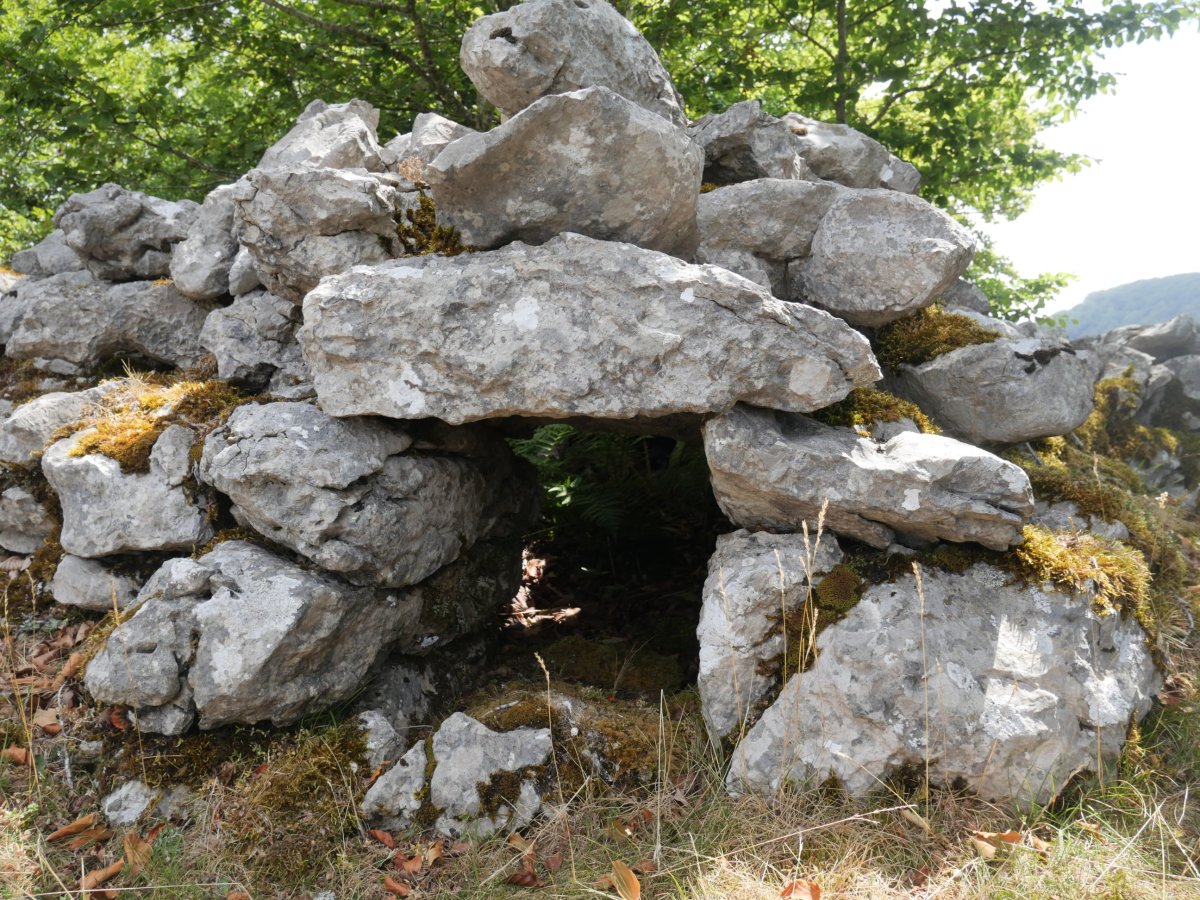 Aiapursare 1 arkue