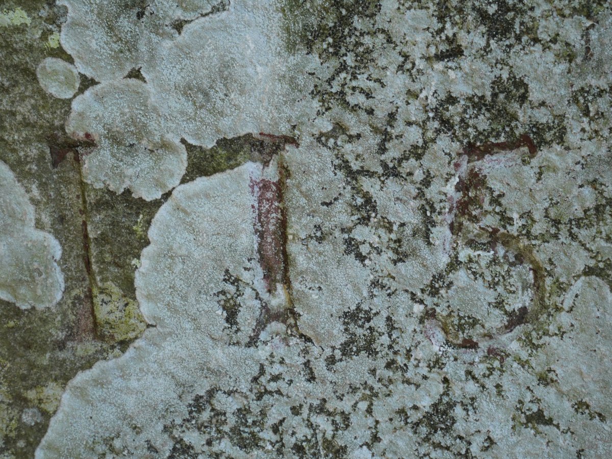 115. mugarria Urrixka mendiaren tontorrean