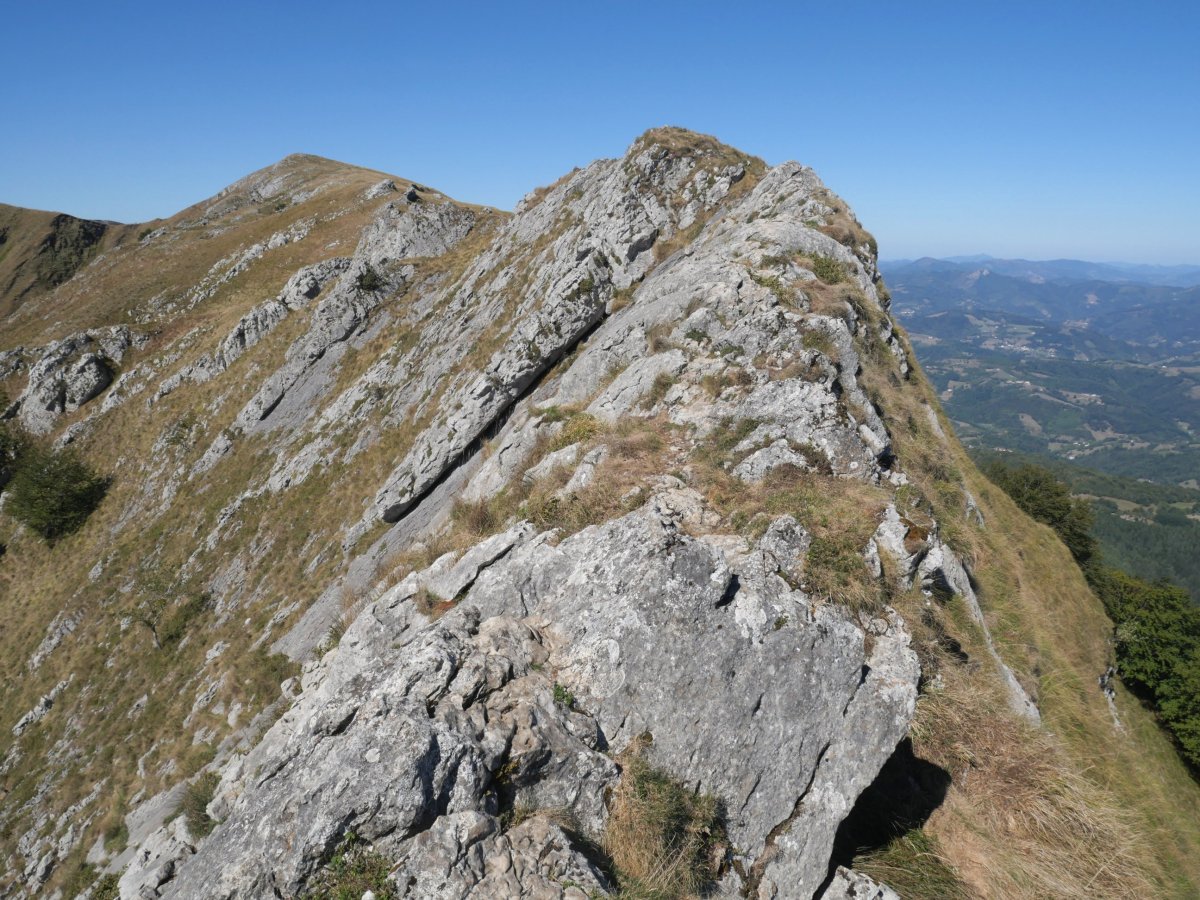 Artubi eta Balerdi arteko gandorreko pasarte bat