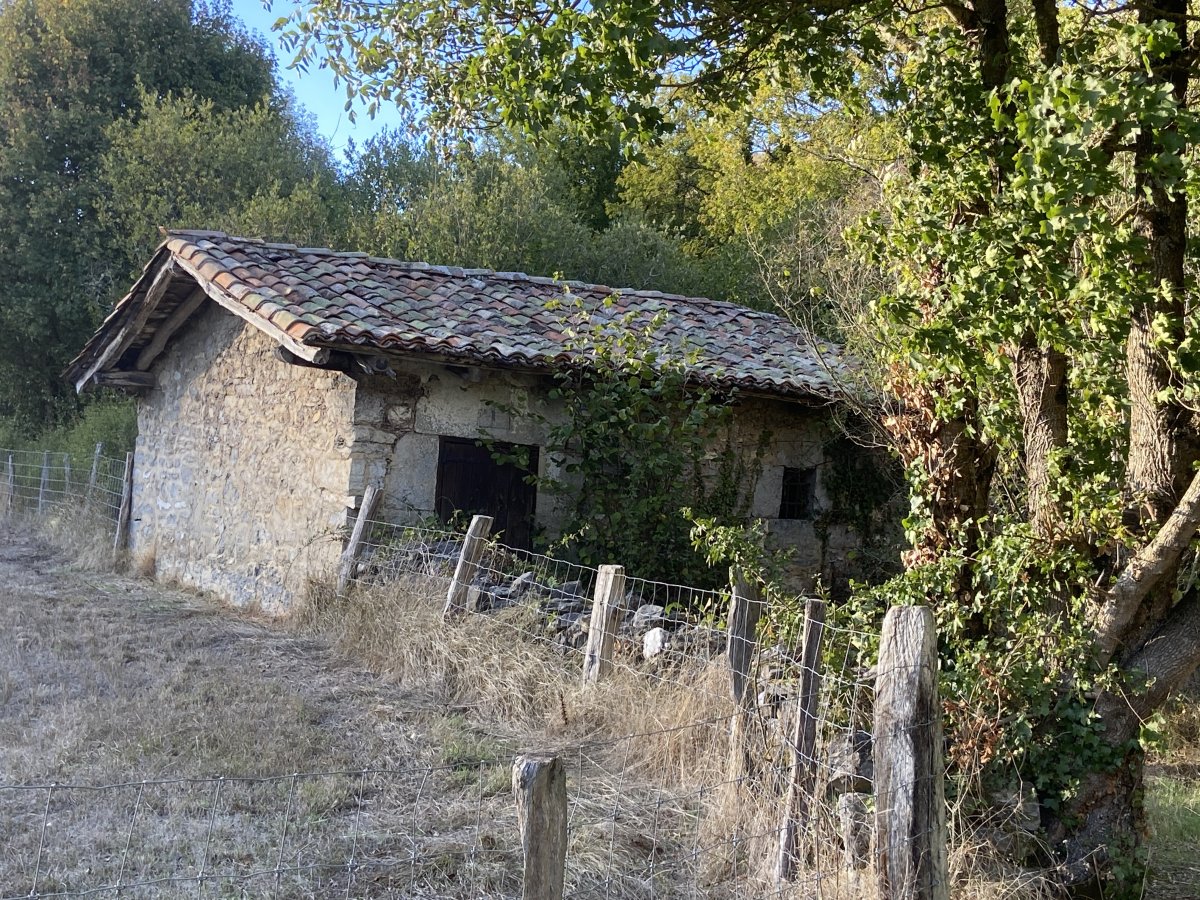 Andagoia Errota. Kuartango (Andagoia)