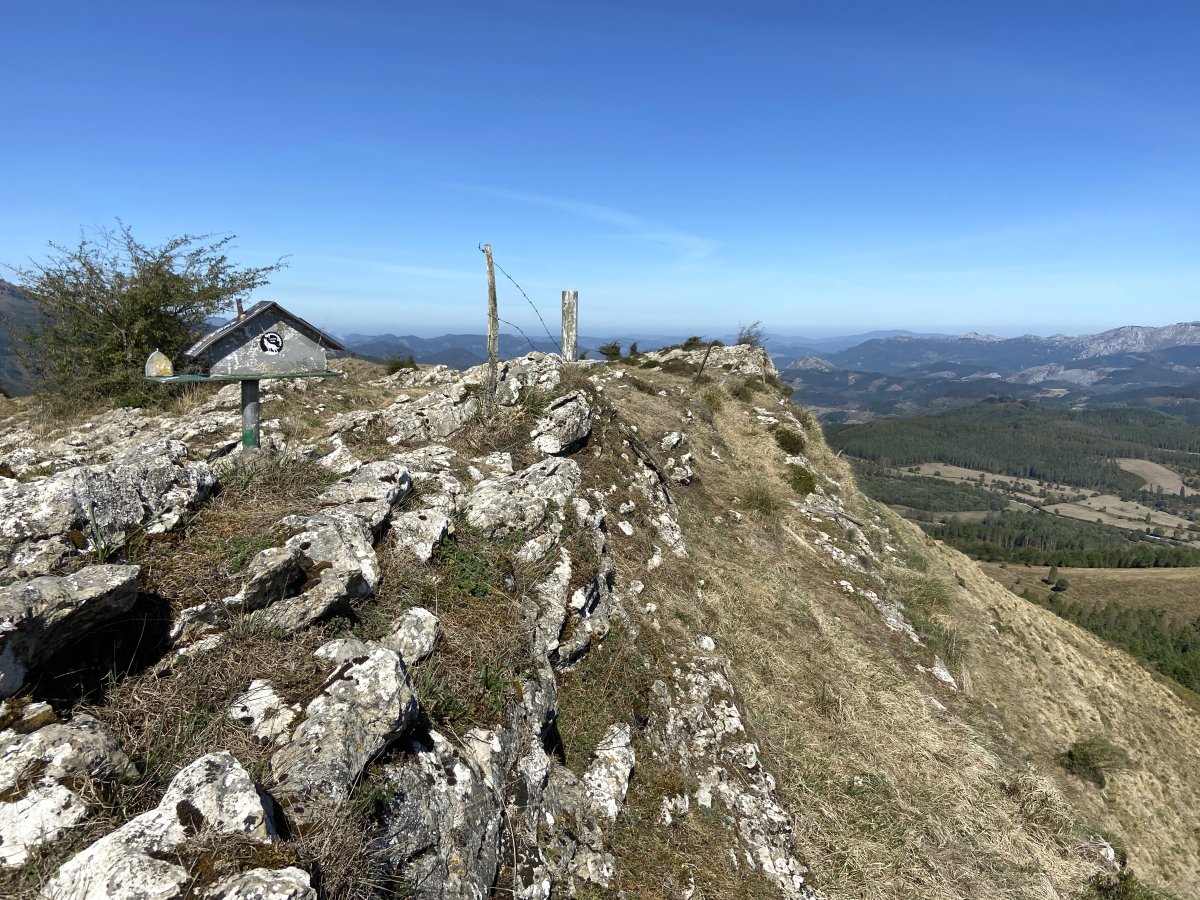 Tontorra