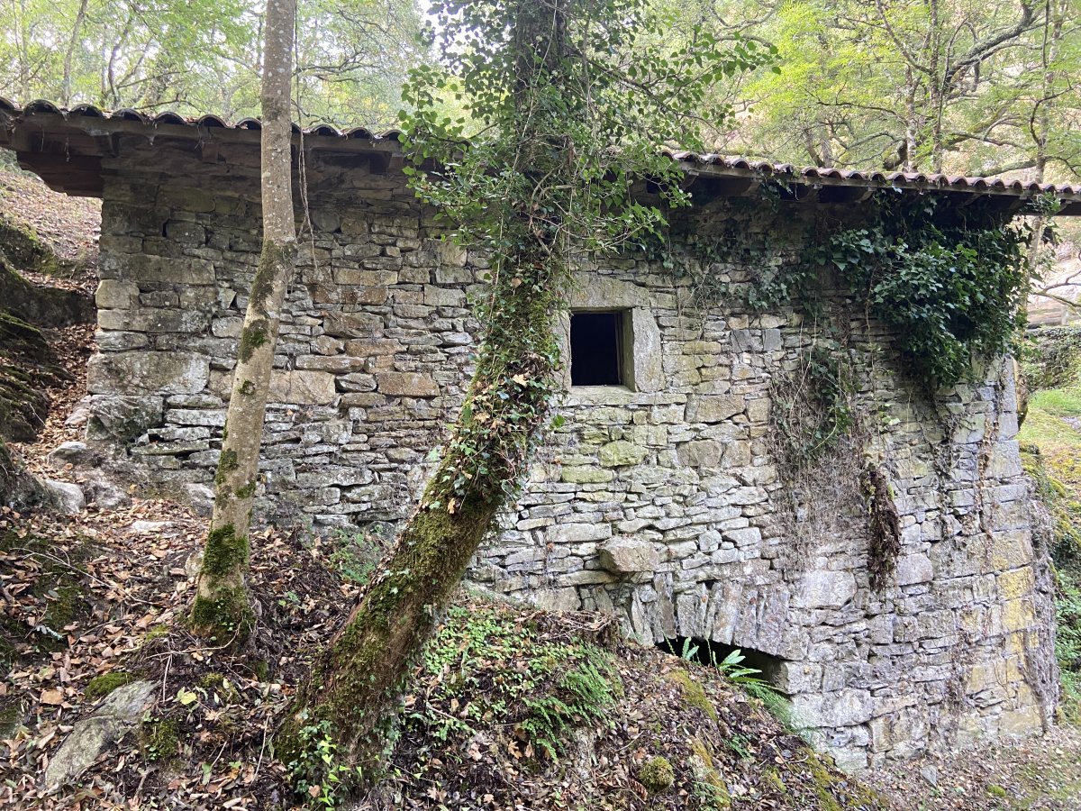 Belandia Errota. Urduña (Belandia)