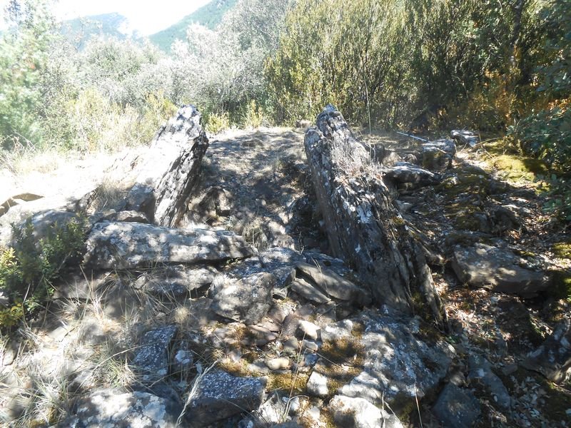 palomar