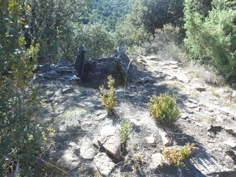 palomar