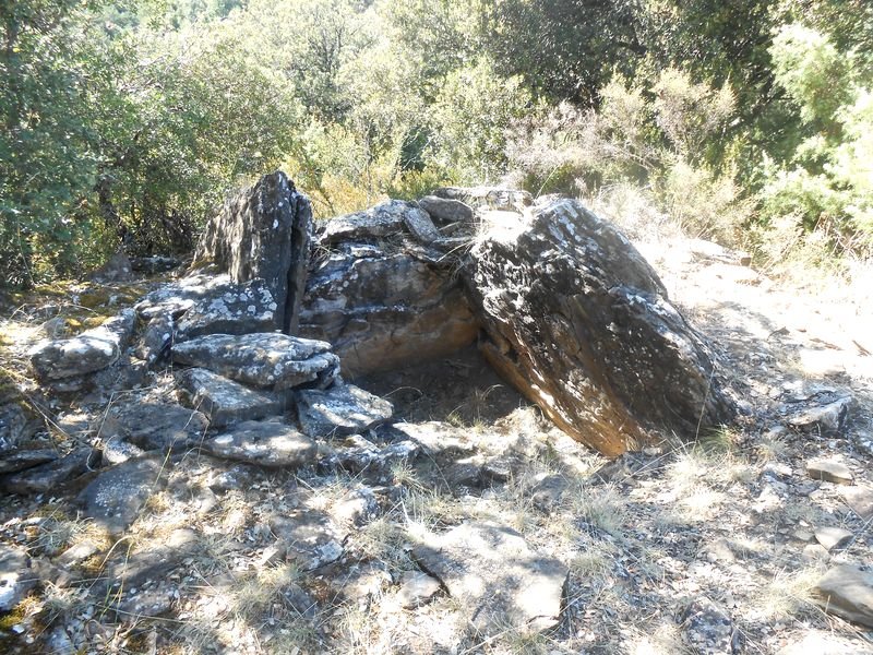 palomar