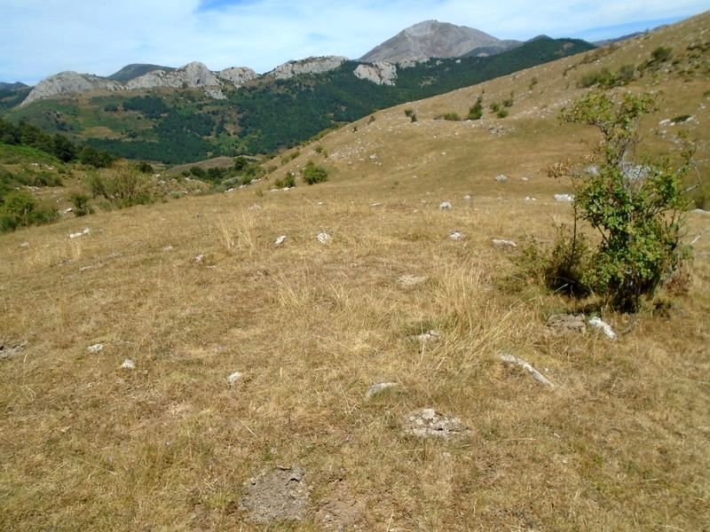 mampodre