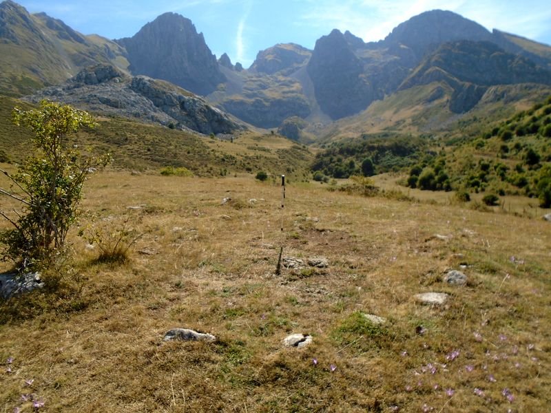 mampodre