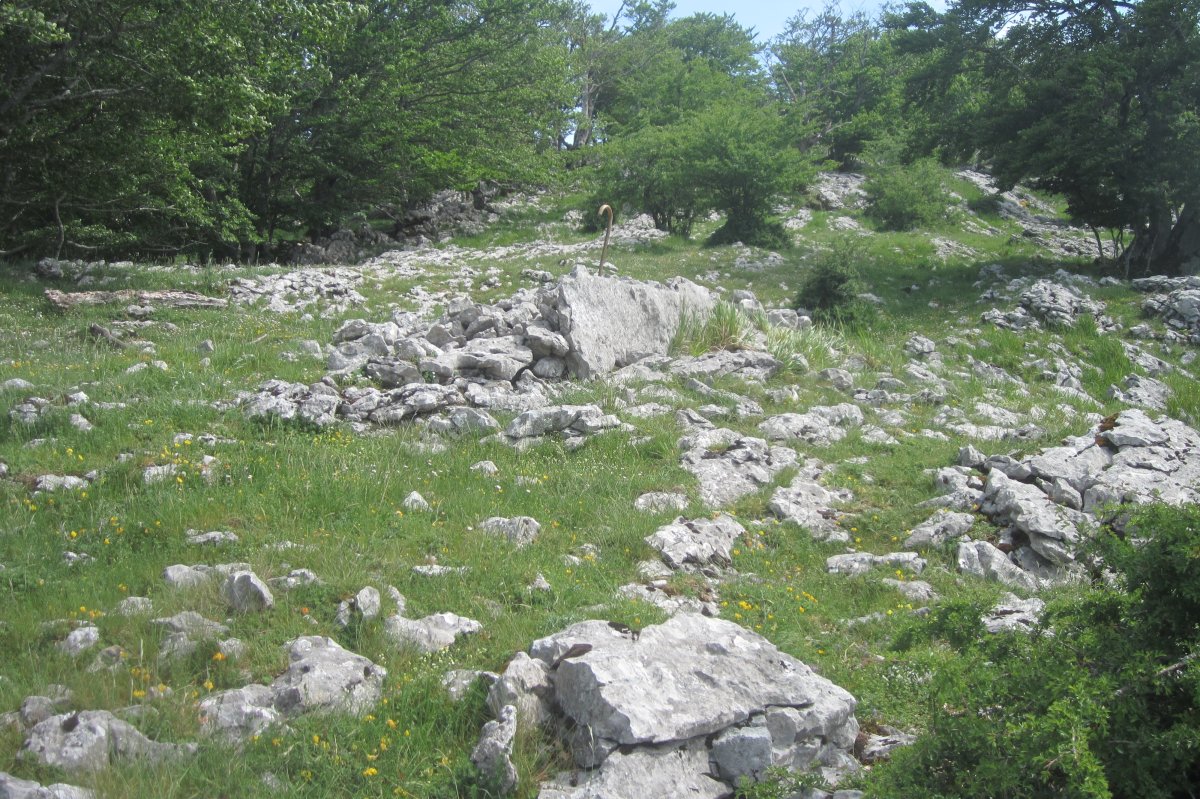 Dólmen Gaztelueta Sur (05-2017)