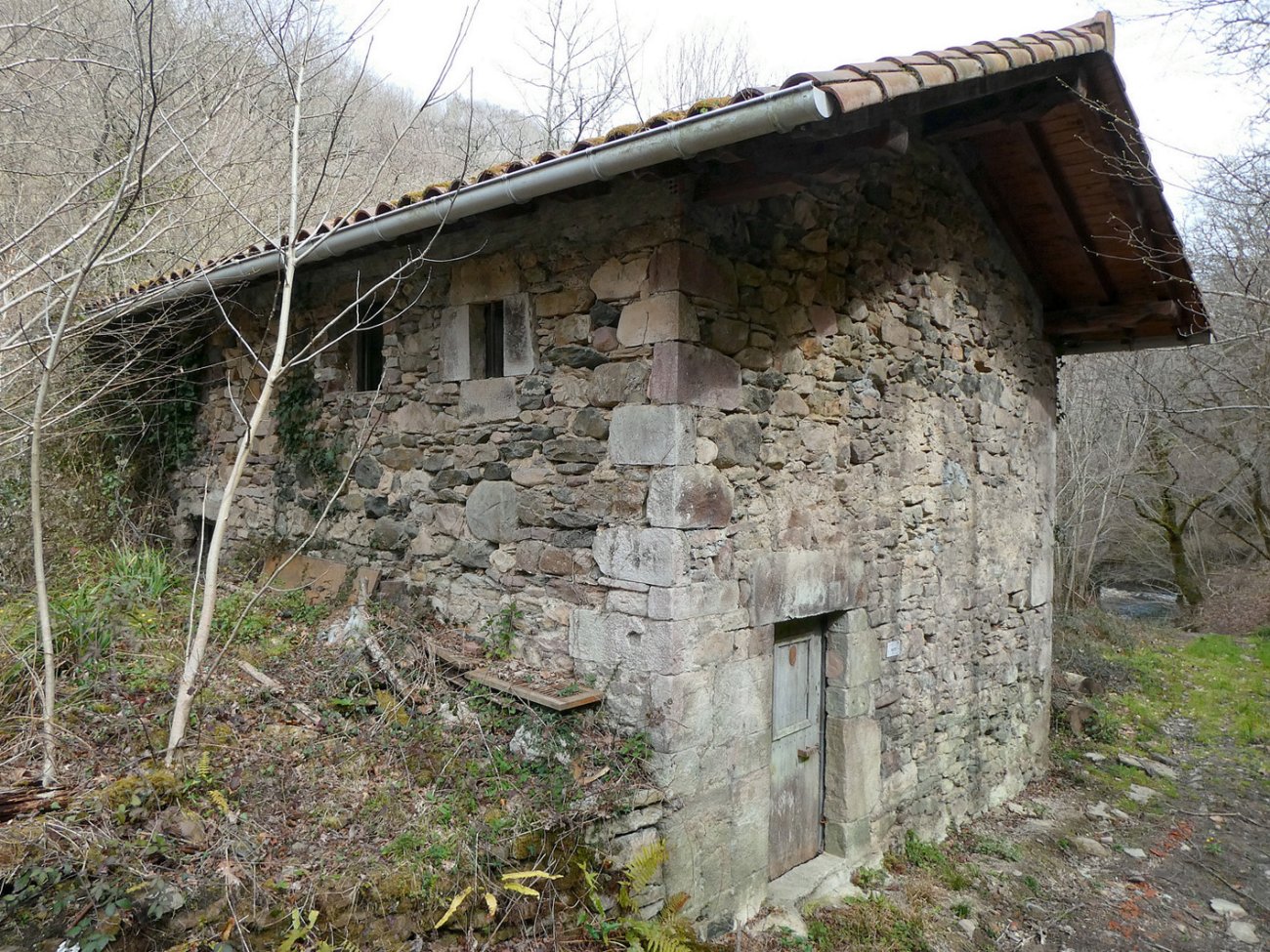 Errota, Saldias