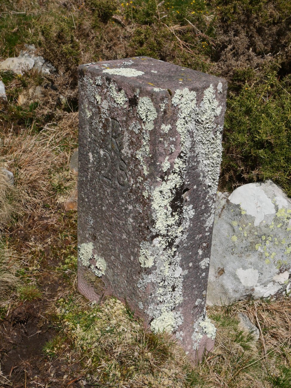 28. mugarria Larrunen