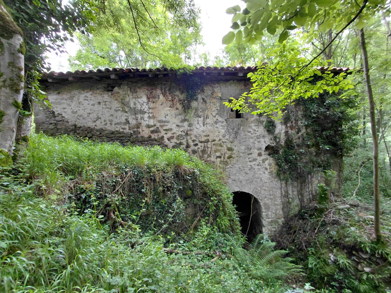 Ripatxo Errota. Amurrio (Delika)