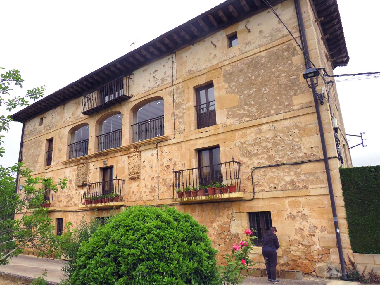 Viana jauregia, Lagran