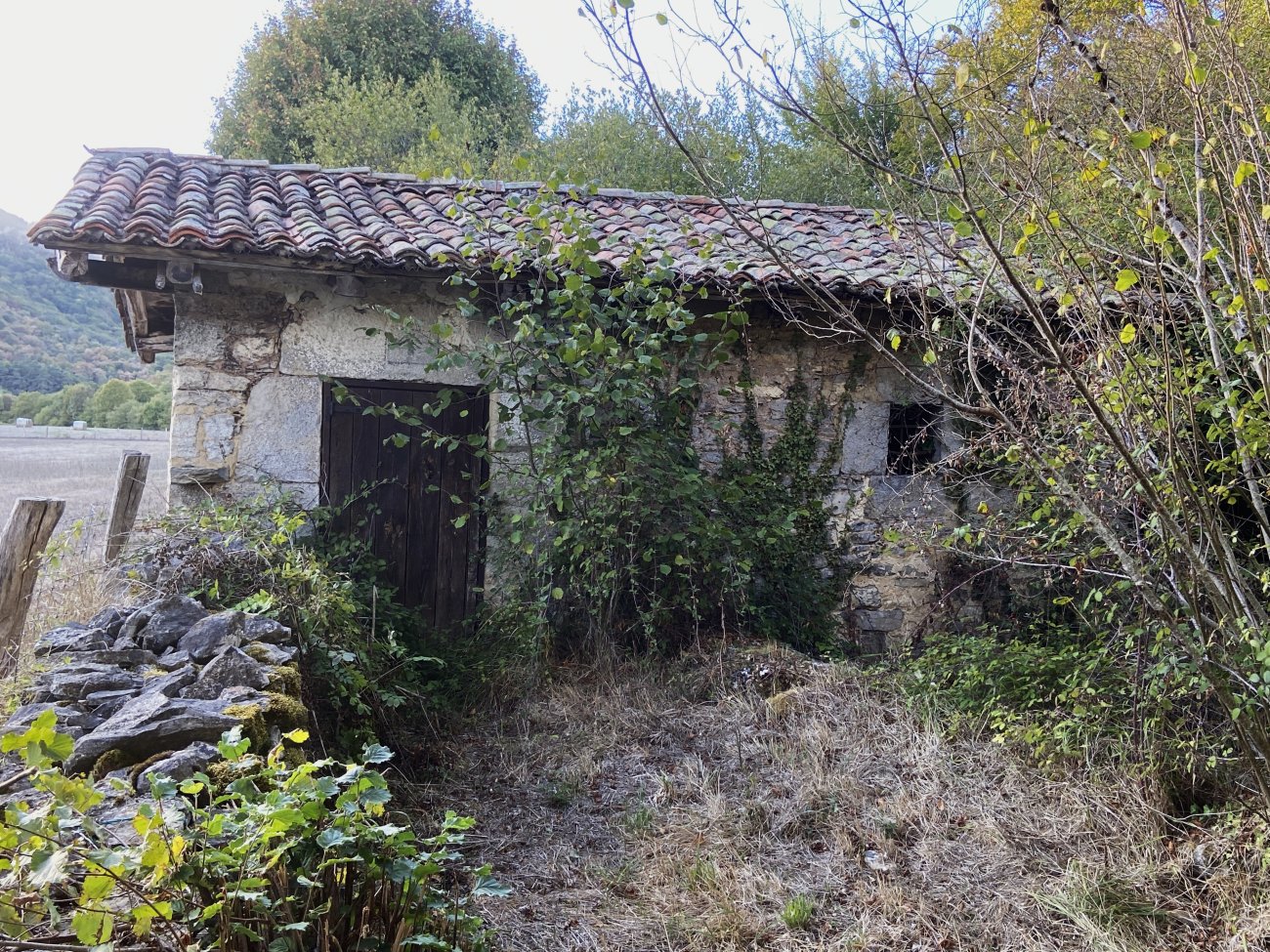 Andagoia Errota. Kuartango (Andagoia)