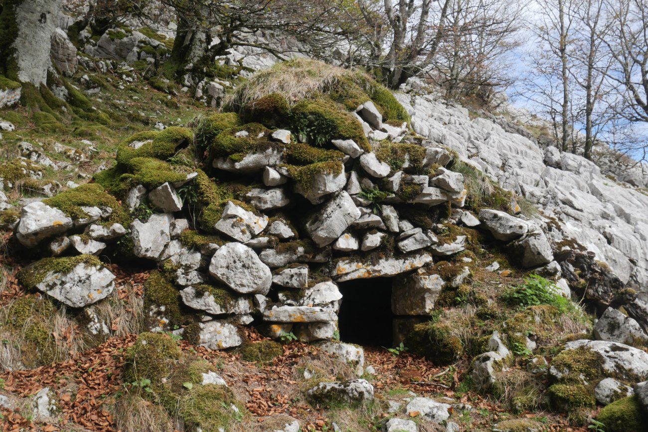 Brinkatezulo 1 arkue