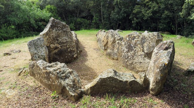 Los LLanos trikuharria, Guardia